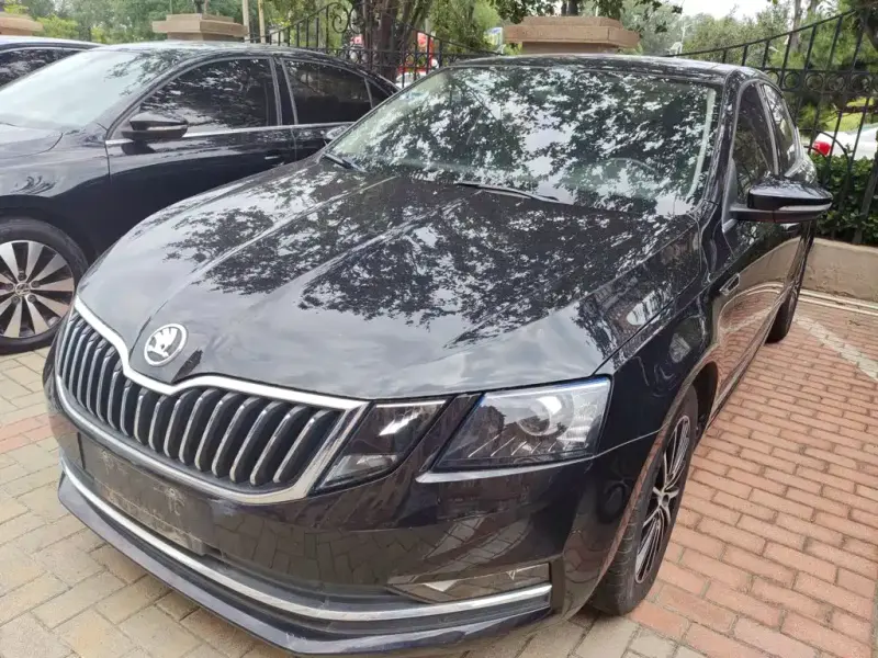 Skoda Octavia, 2018 — фото 1