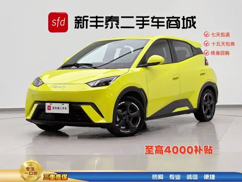 BYD Seagull, 2023