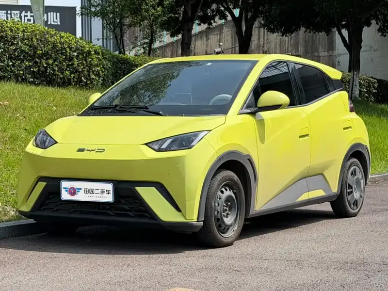 BYD Seagull, 2024