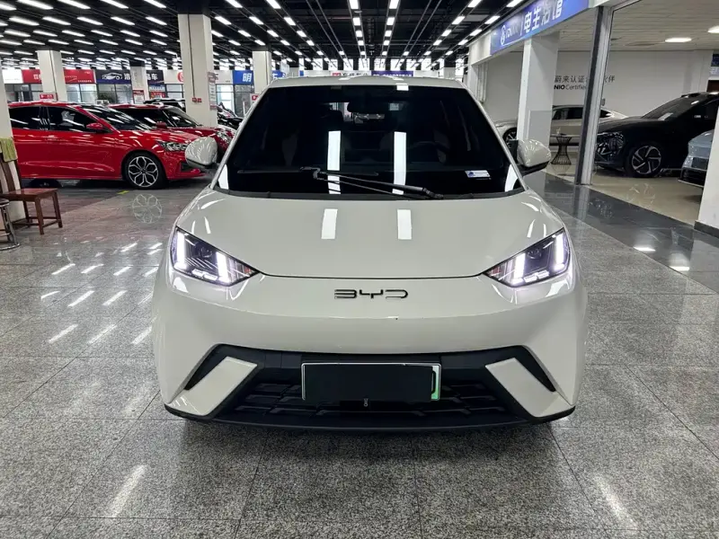BYD Seagull, 2023