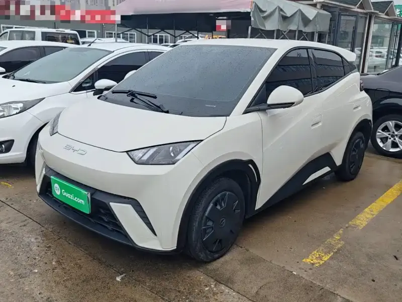 BYD Seagull, 2024
