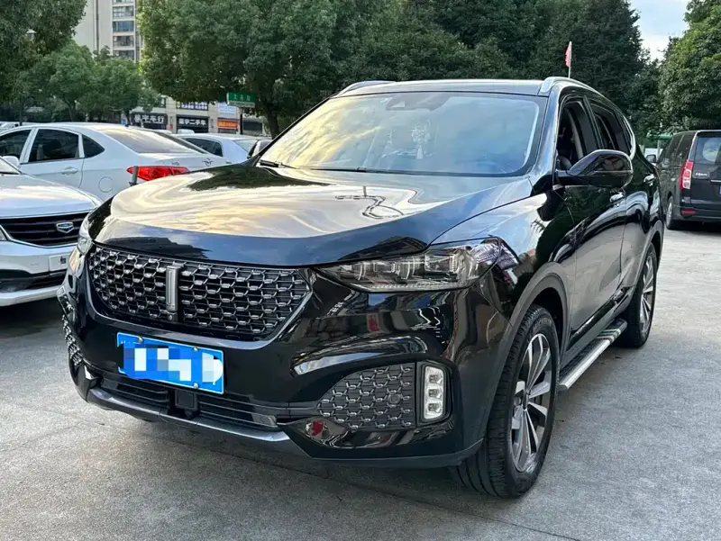 Wey VV6, 2020