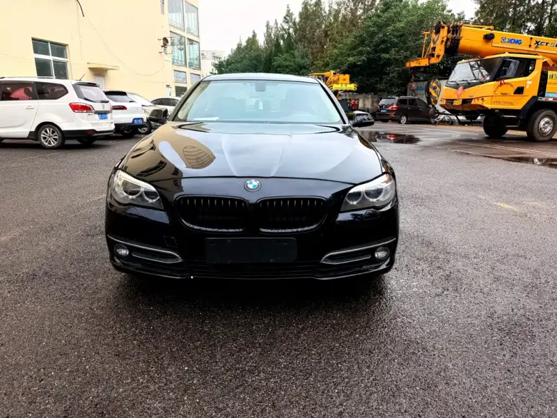 BMW 5 Series, 2014