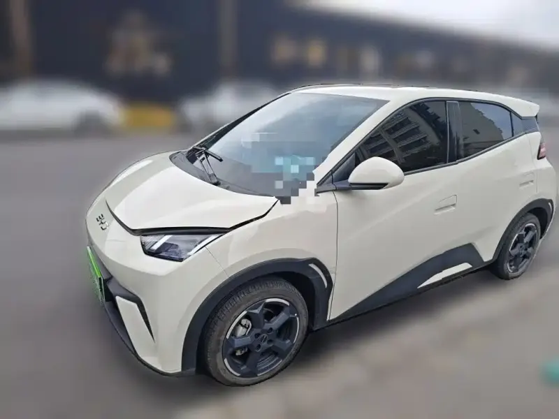 BYD Seagull, 2024