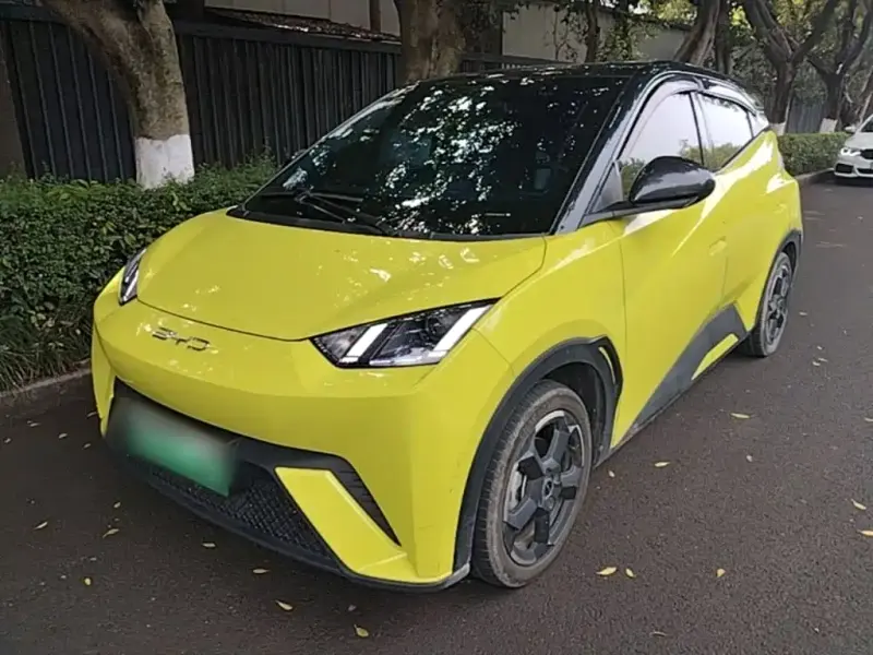 BYD Seagull, 2023