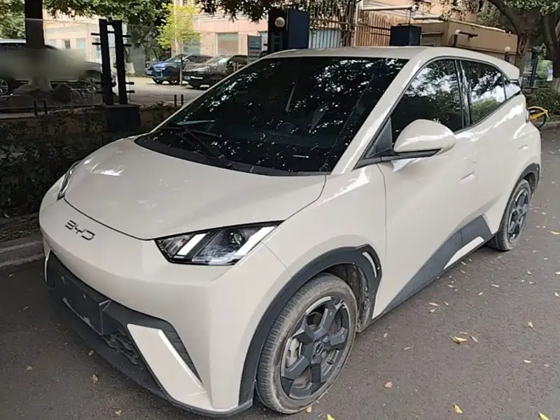 BYD Seagull, 2023