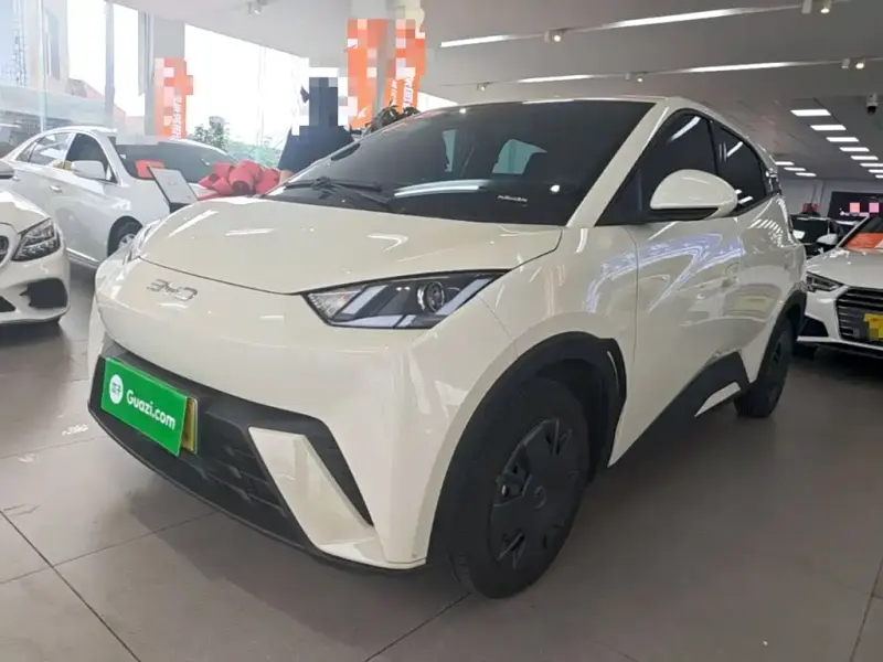 BYD Seagull, 2024