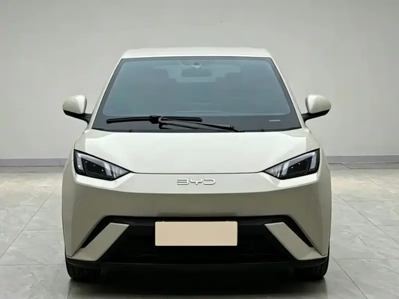 BYD Seagull, 2024