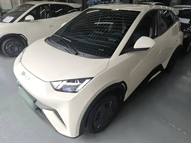 BYD Seagull, 2025