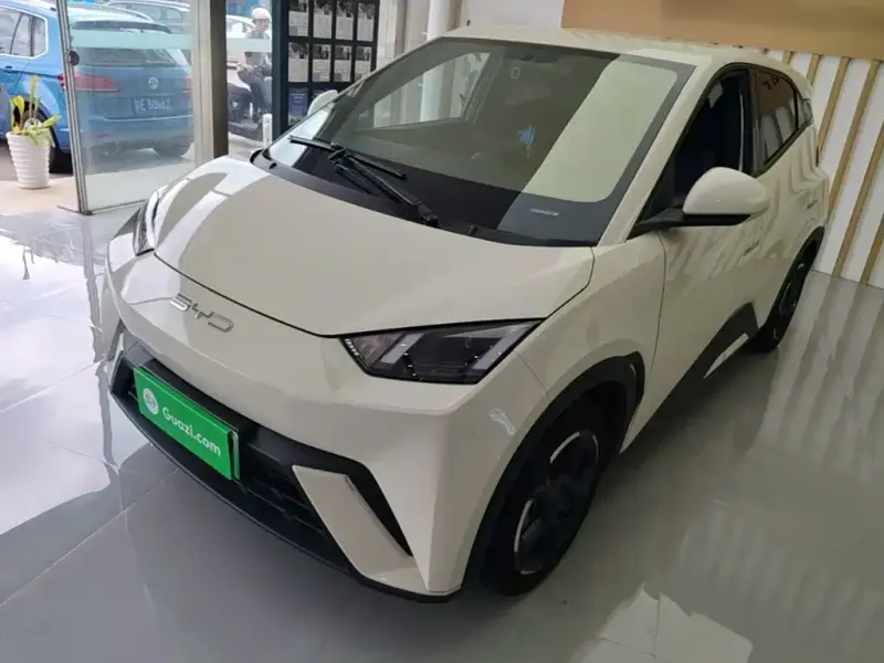 BYD Seagull, 2024