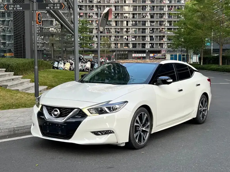 Nissan Cima, 2018