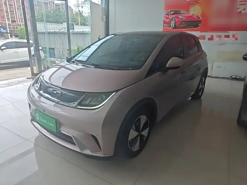BYD Dolphin, 2023
