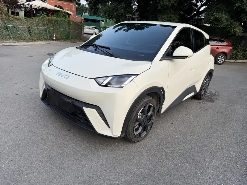 BYD Seagull, 2024