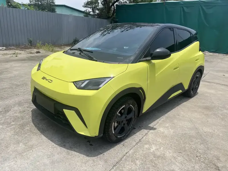 BYD Seagull, 2024
