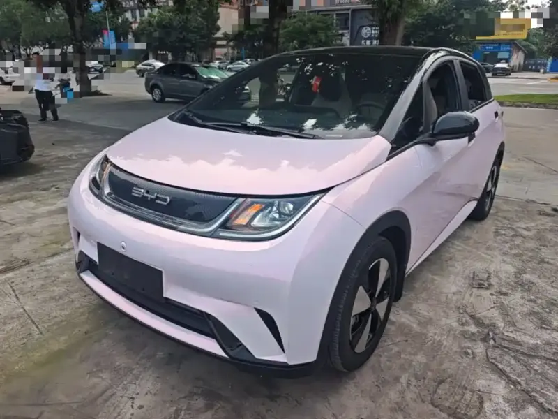 BYD Dolphin, 2023