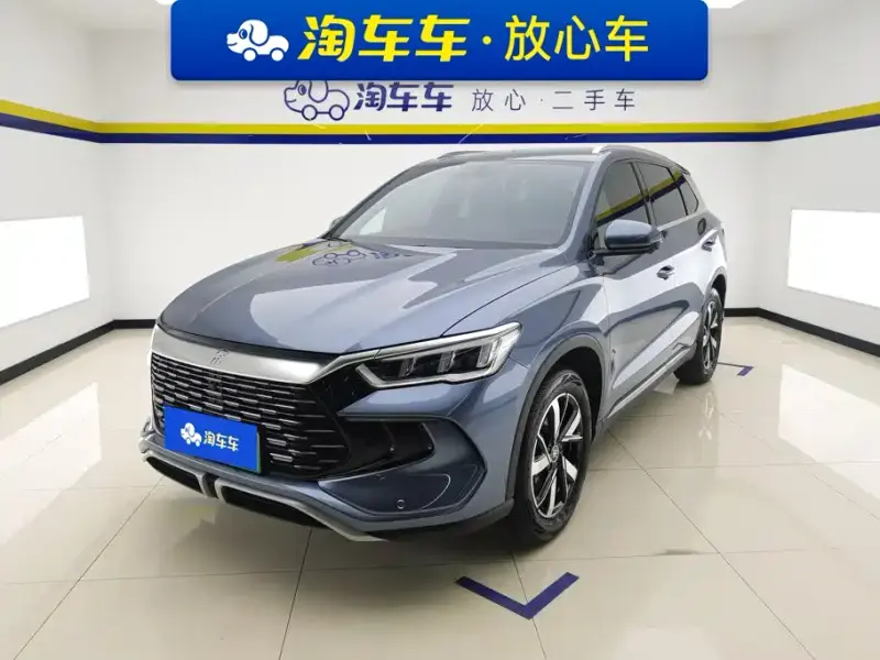 BYD Pro New Energy, 2024 — фото 1