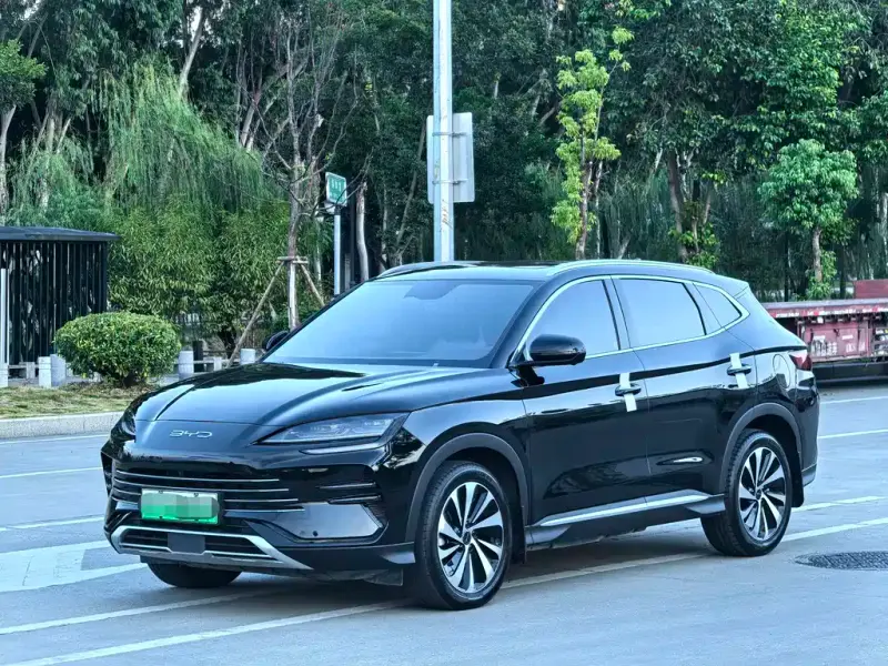 BYD PLUS New Energy, 2023 — фото 1