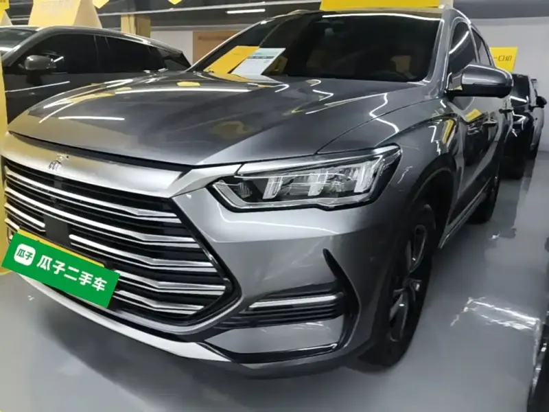 BYD Pro New Energy, 2023