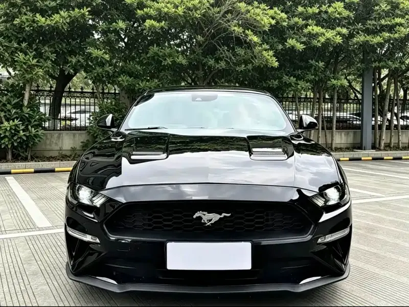 Ford Mustang, 2019
