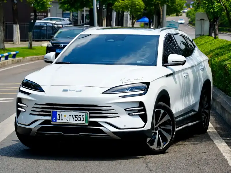 BYD PLUS New Energy, 2024