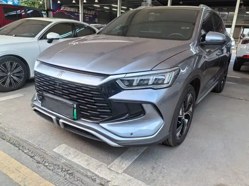 BYD Pro New Energy, 2024