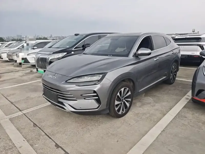 BYD PLUS New Energy, 2023