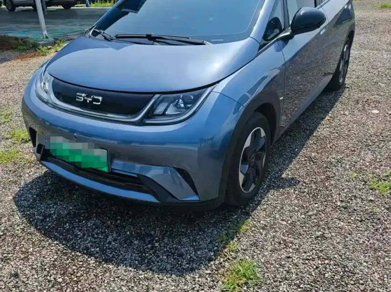 BYD Dolphin, 2025