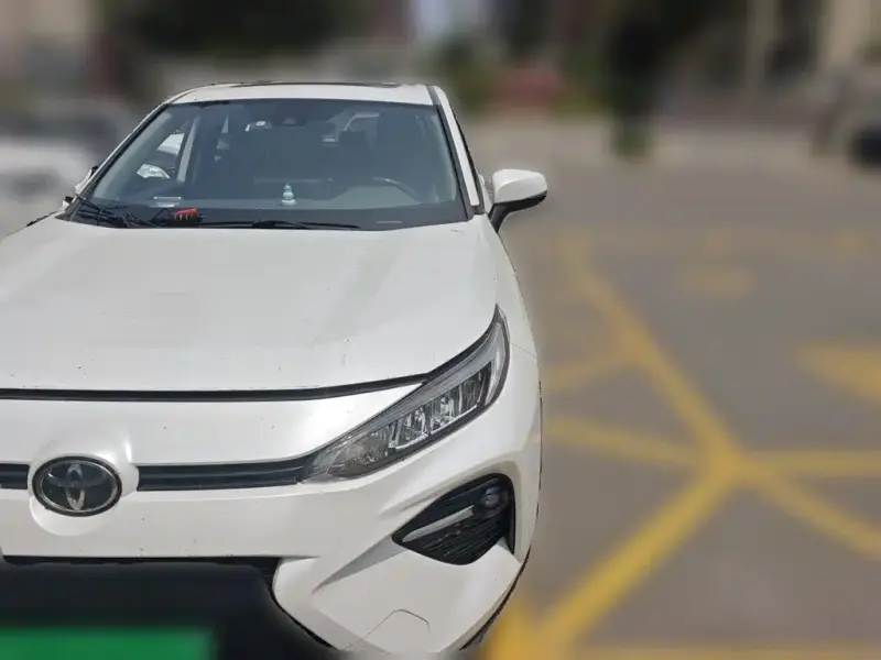 Toyota Wildlander, 2021