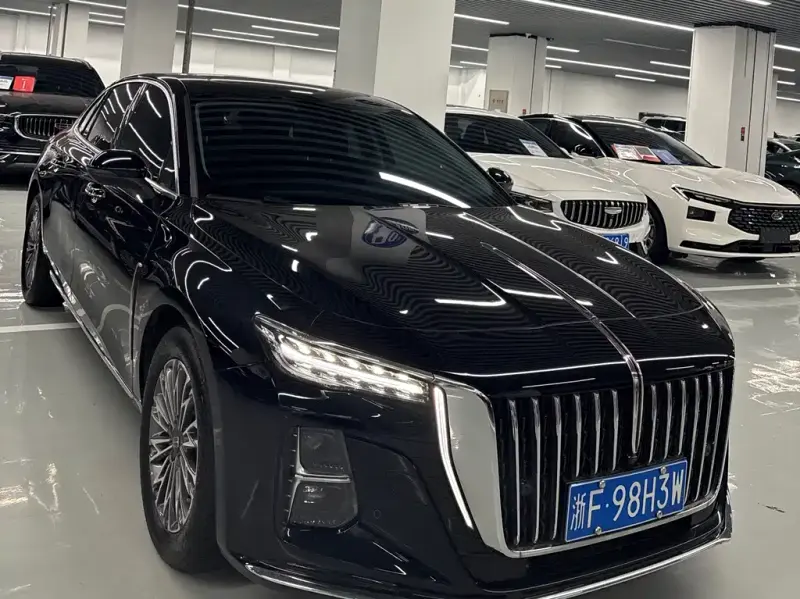 Hongqi H5, 2024