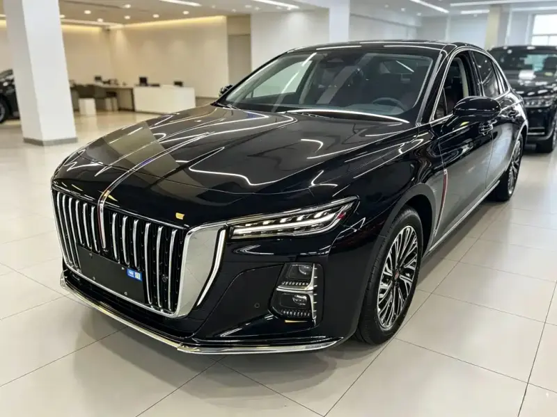 Hongqi H5, 2024