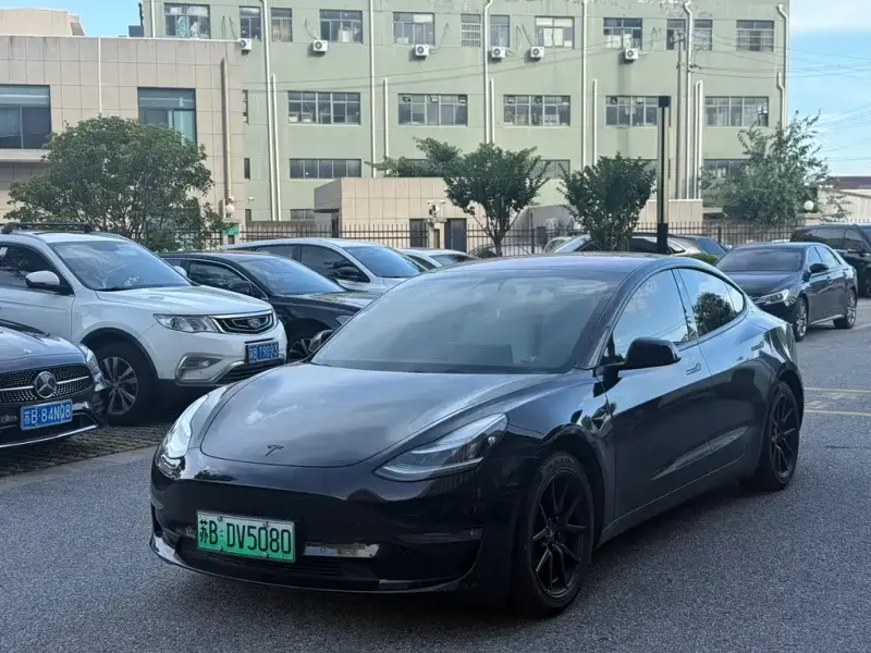 Tesla Model 3, 2019