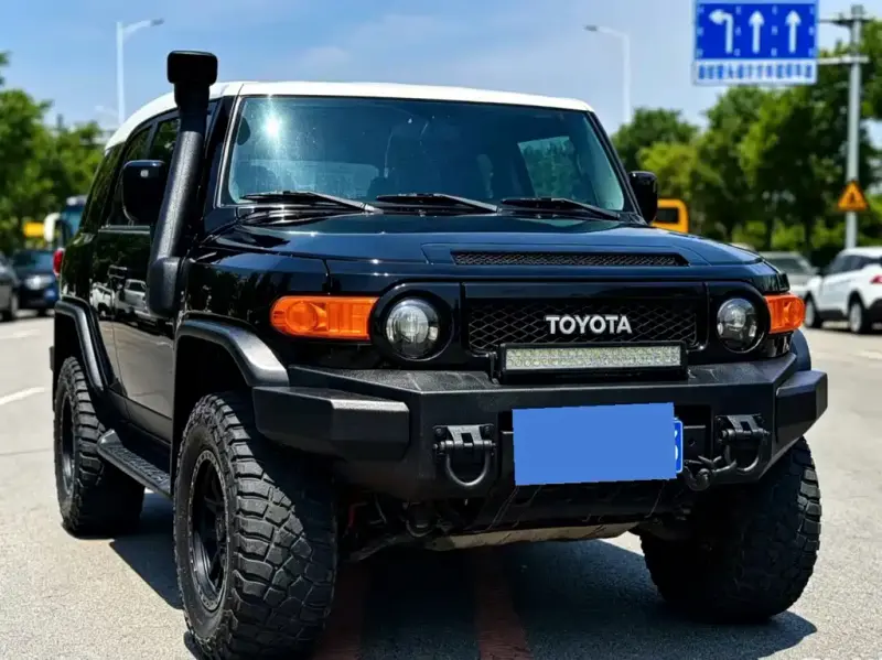 Toyota FJ Cruiser, 2010