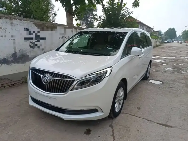 Buick GL8, 2019