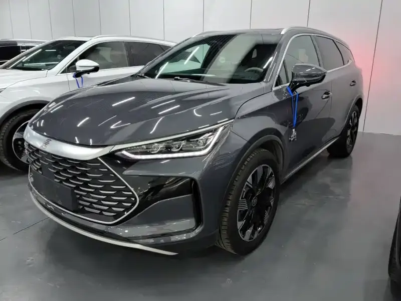 BYD Tang New Energy, 2024