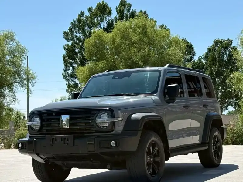 Tank 300, 2021