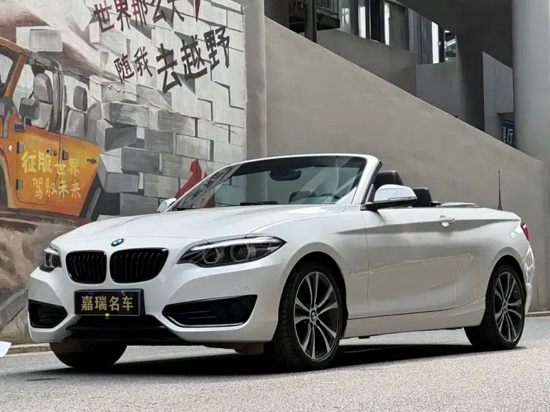 BMW 2 Series (Import), 2021