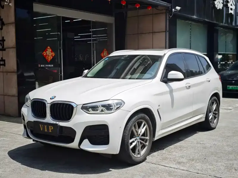 BMW X3, 2019 — фото 1