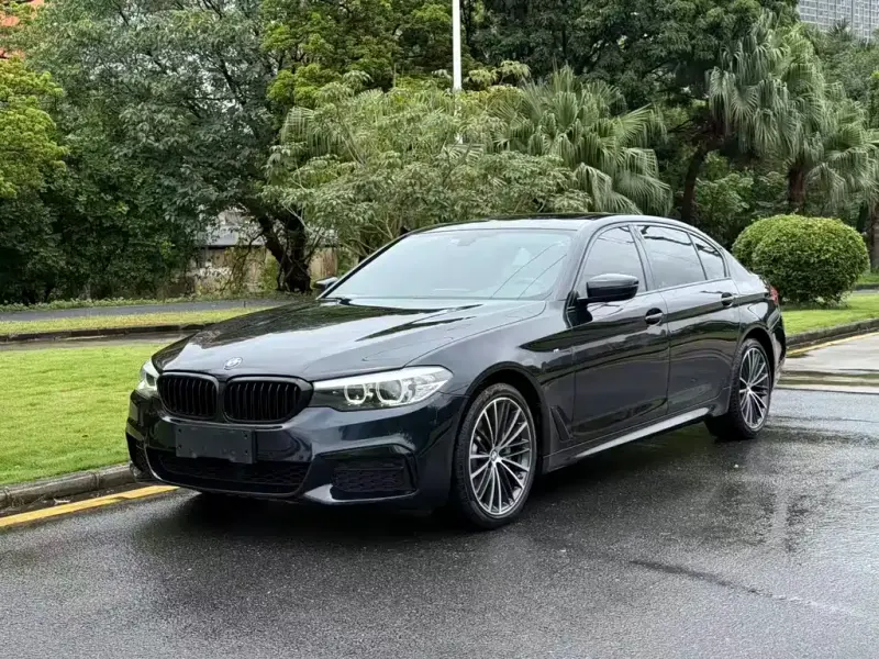 BMW 5 Series, 2019