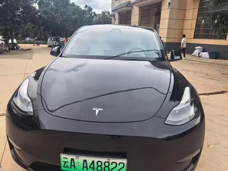 Tesla Model Y, 2021