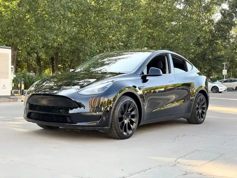 Tesla Model Y, 2021