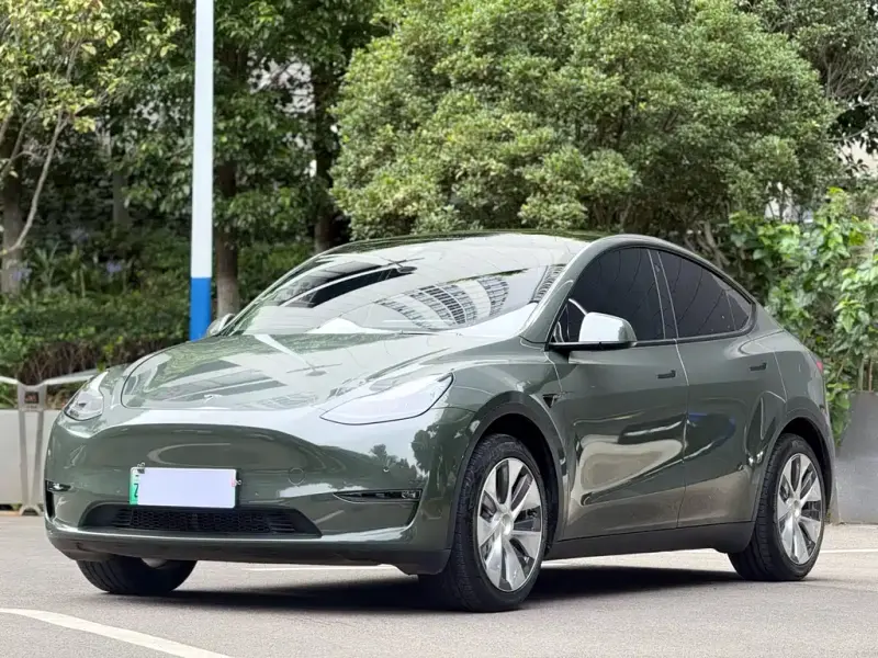 Tesla Model Y, 2021