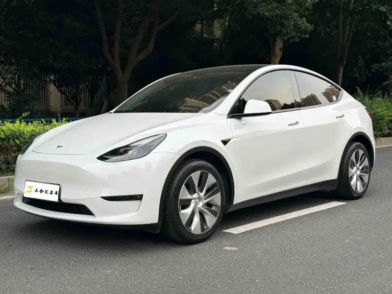 Tesla Model Y, 2021