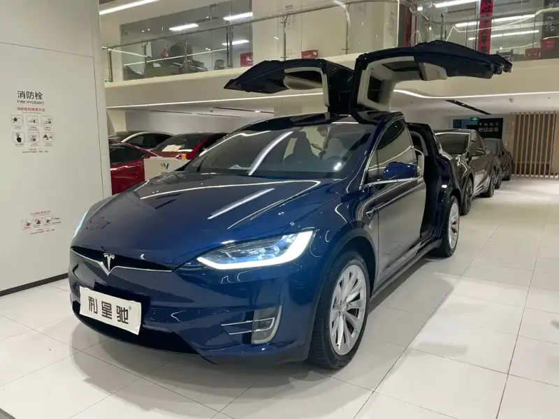 Tesla Model X, 2019