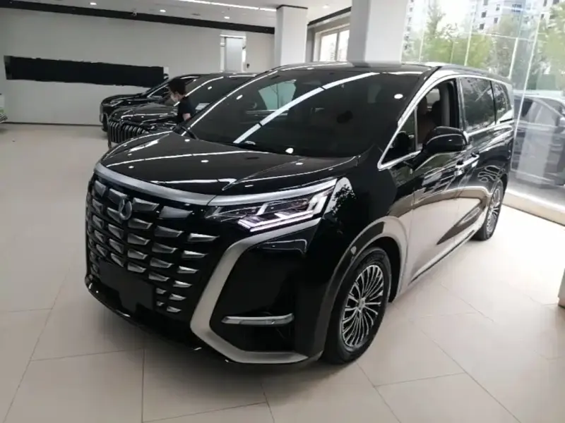 Denza D9, 2023