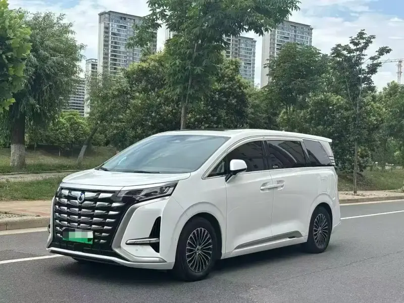 Denza D9, 2024