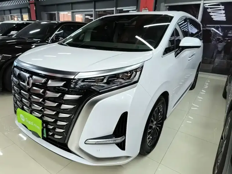 Denza D9, 2023