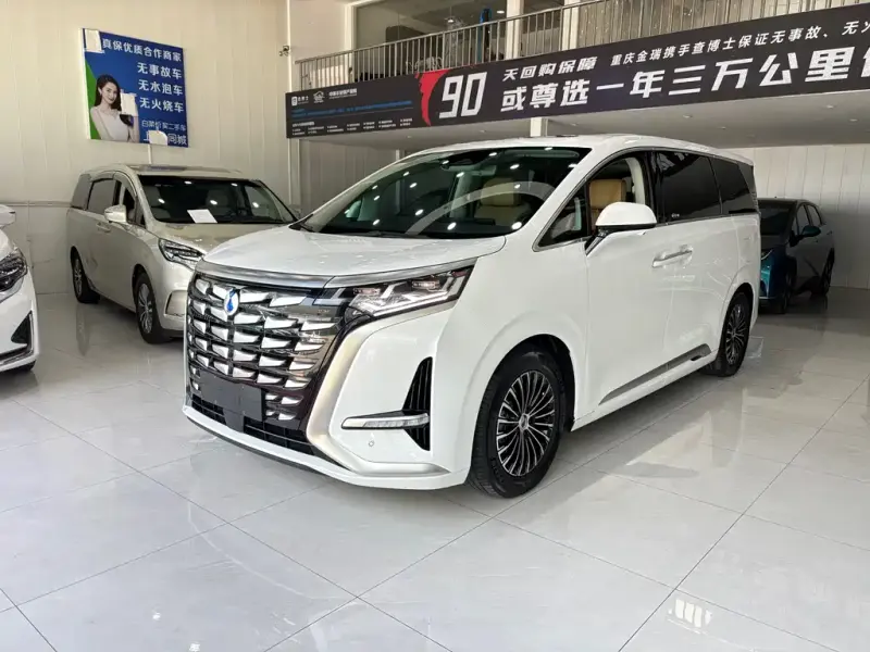 Denza D9, 2024