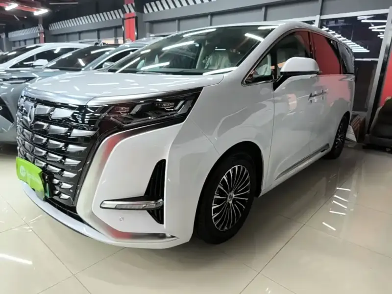 Denza D9, 2024