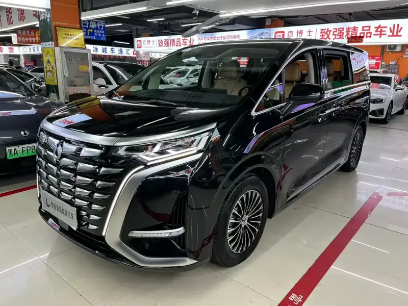 Denza D9, 2024
