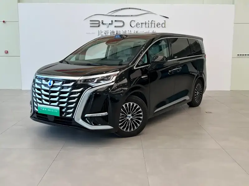 Denza D9, 2024